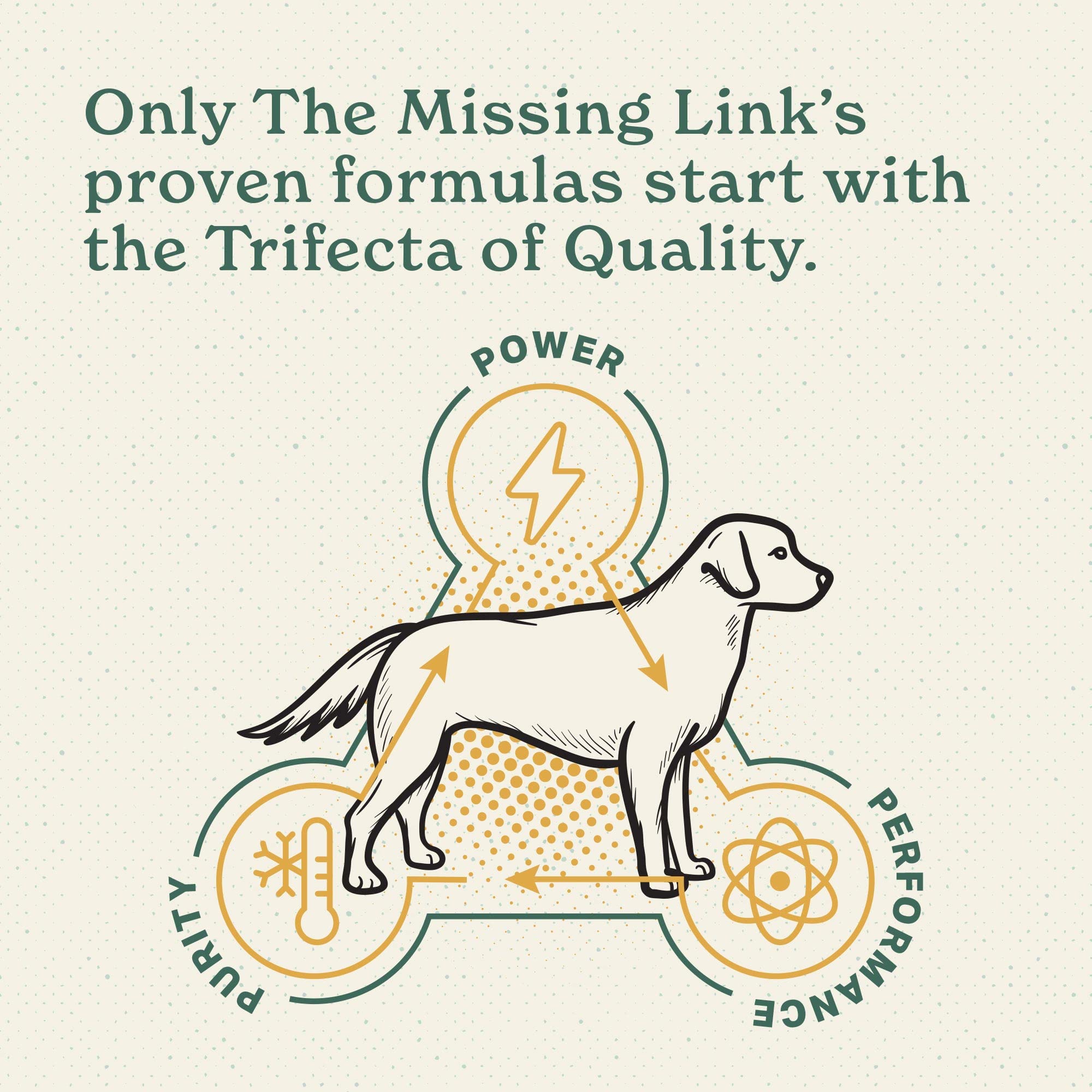 The Missing Link primer plano de probióticos LactoSpore beneficios digestivos