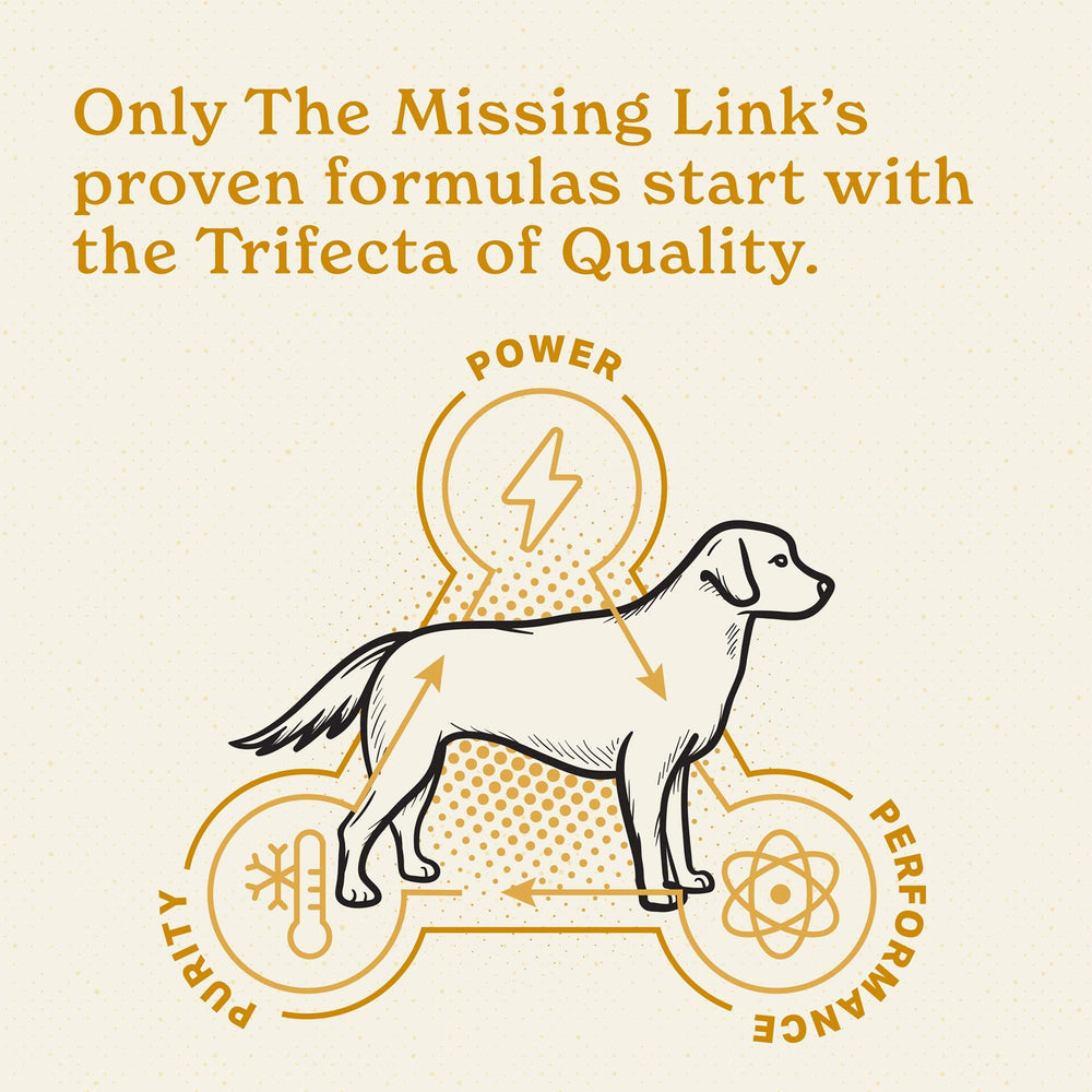 The Missing Link perro con pelaje brillante como resultado de uso regular
