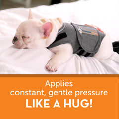 Thundershirt comparación de tamaño Small para elegir talla correcta