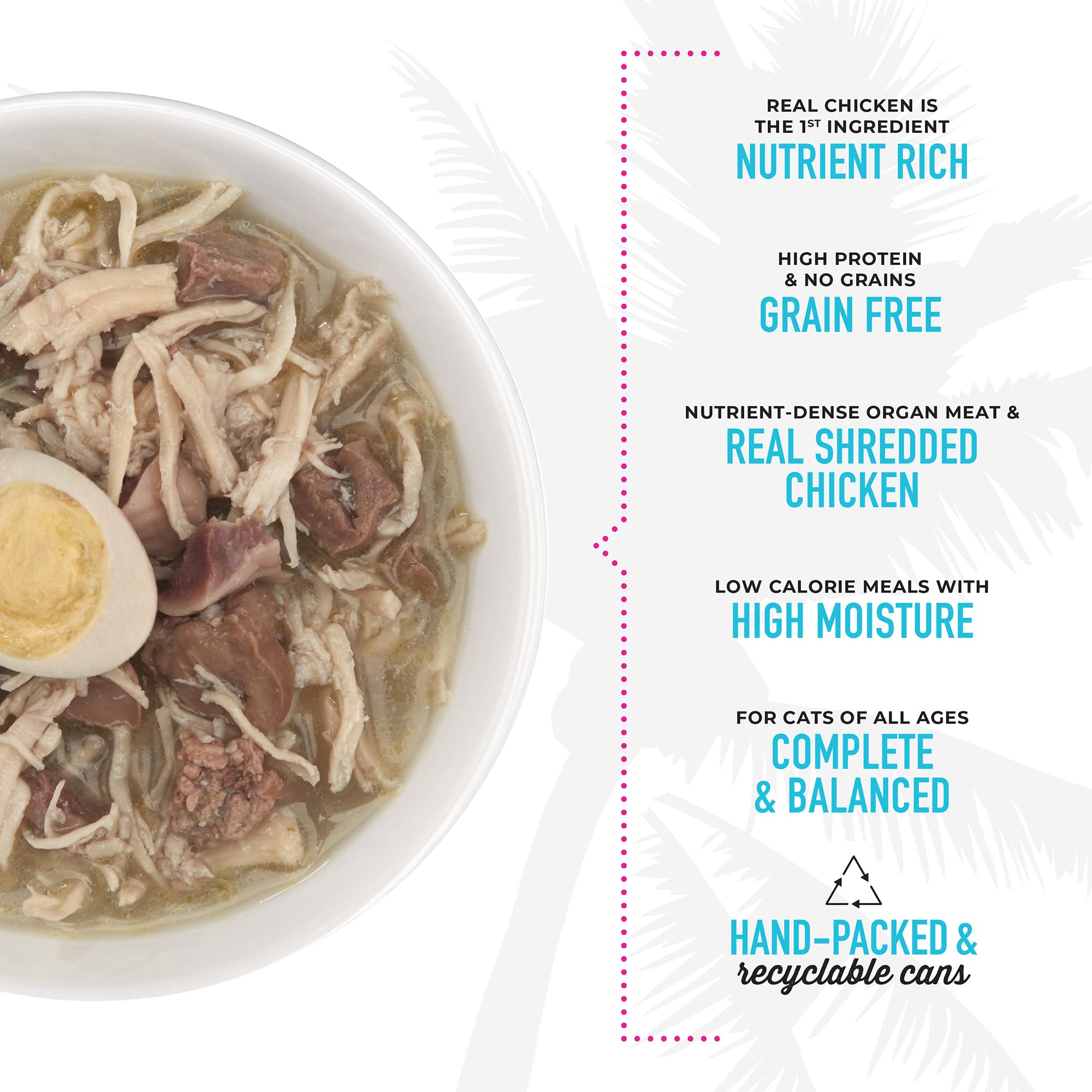 TIKI PETS comida húmeda en un plato para gato, lista para ser ofrecida