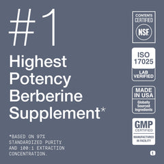 Toniiq berberine fine powder texture displayed for concentrated formulation benefit