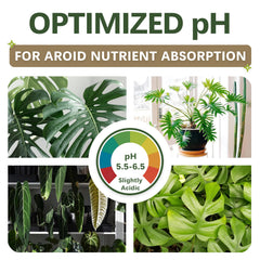 Top Tier Genetics corteza y pumice del sustrato AROID mostrando estructura aireada