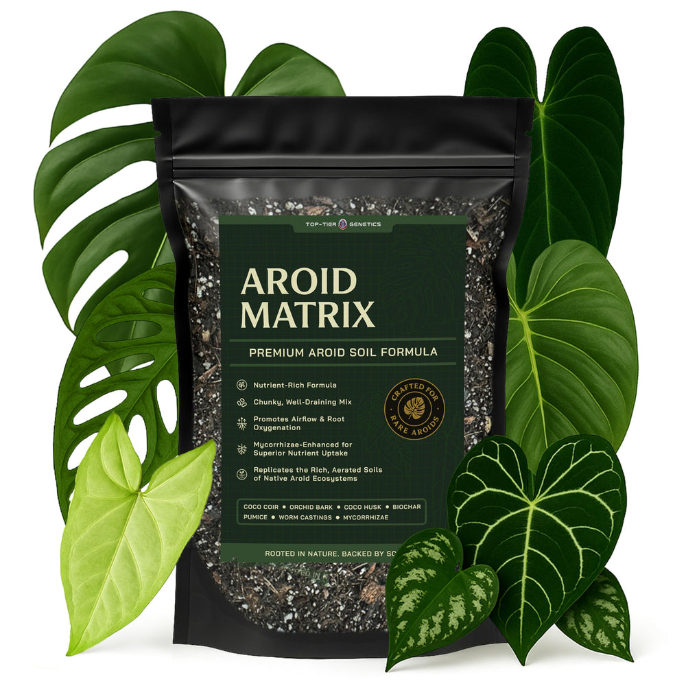 Top Tier Genetics empaque AROID frontal, sustrato listo que facilita trasplantes