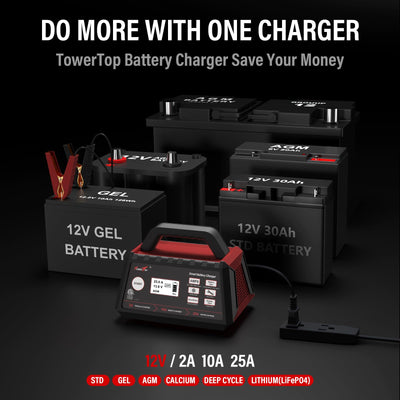 TowerTop repair and desulfate buttons highlighting battery revival option
