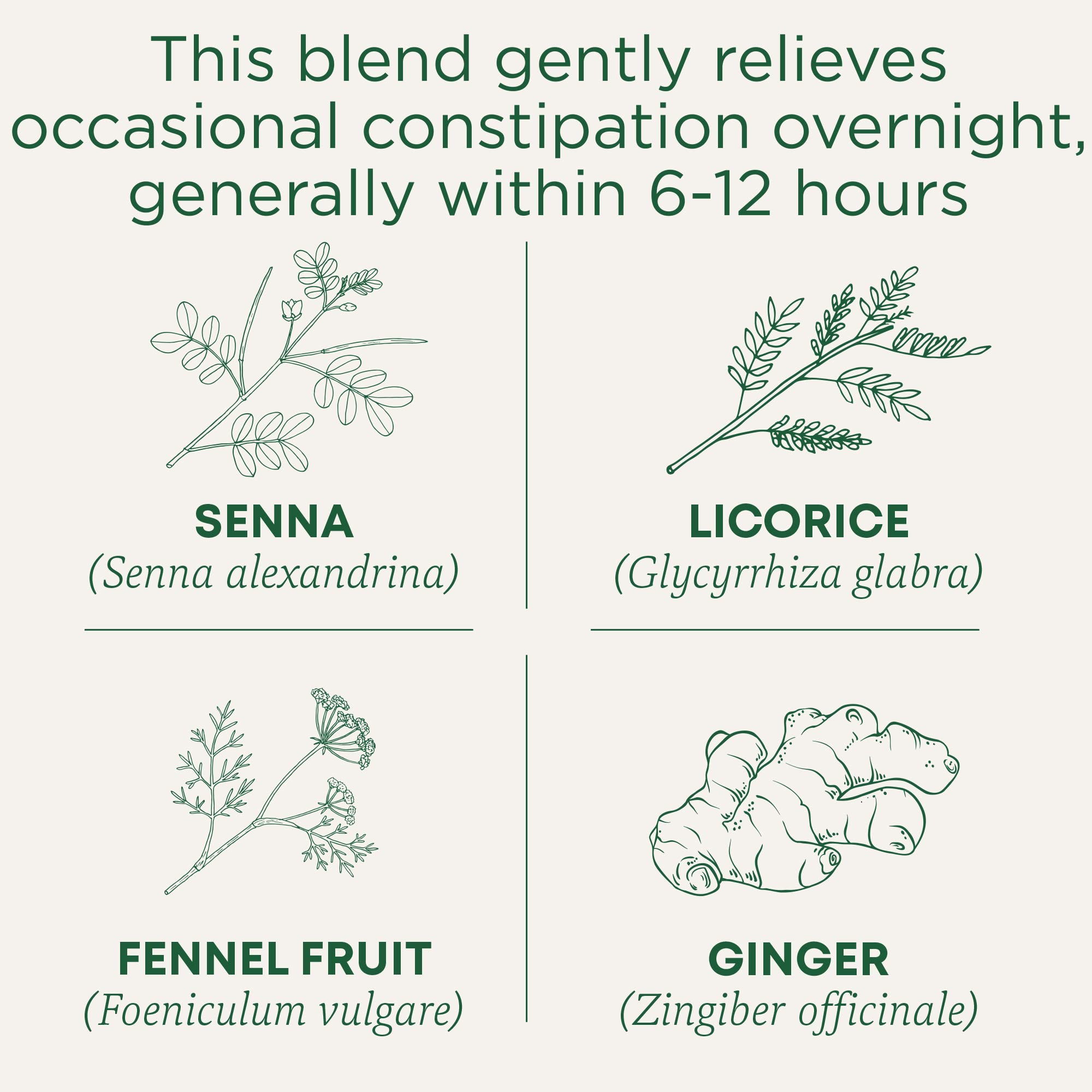 Traditional Medicinals bolsita tomada de cerca, infusión lista y cómoda