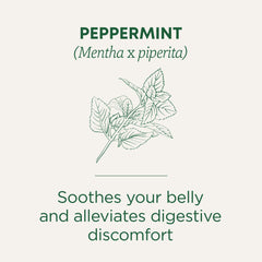 Traditional Medicinals taza de té lista para beber, sabor menta refrescante