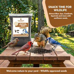 TRAILMARK NATURALS comedero de tolva lleno atrayendo variedad de aves
