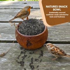 TRAILMARK NATURALS aves en plataforma alimentándose, aumento en observación