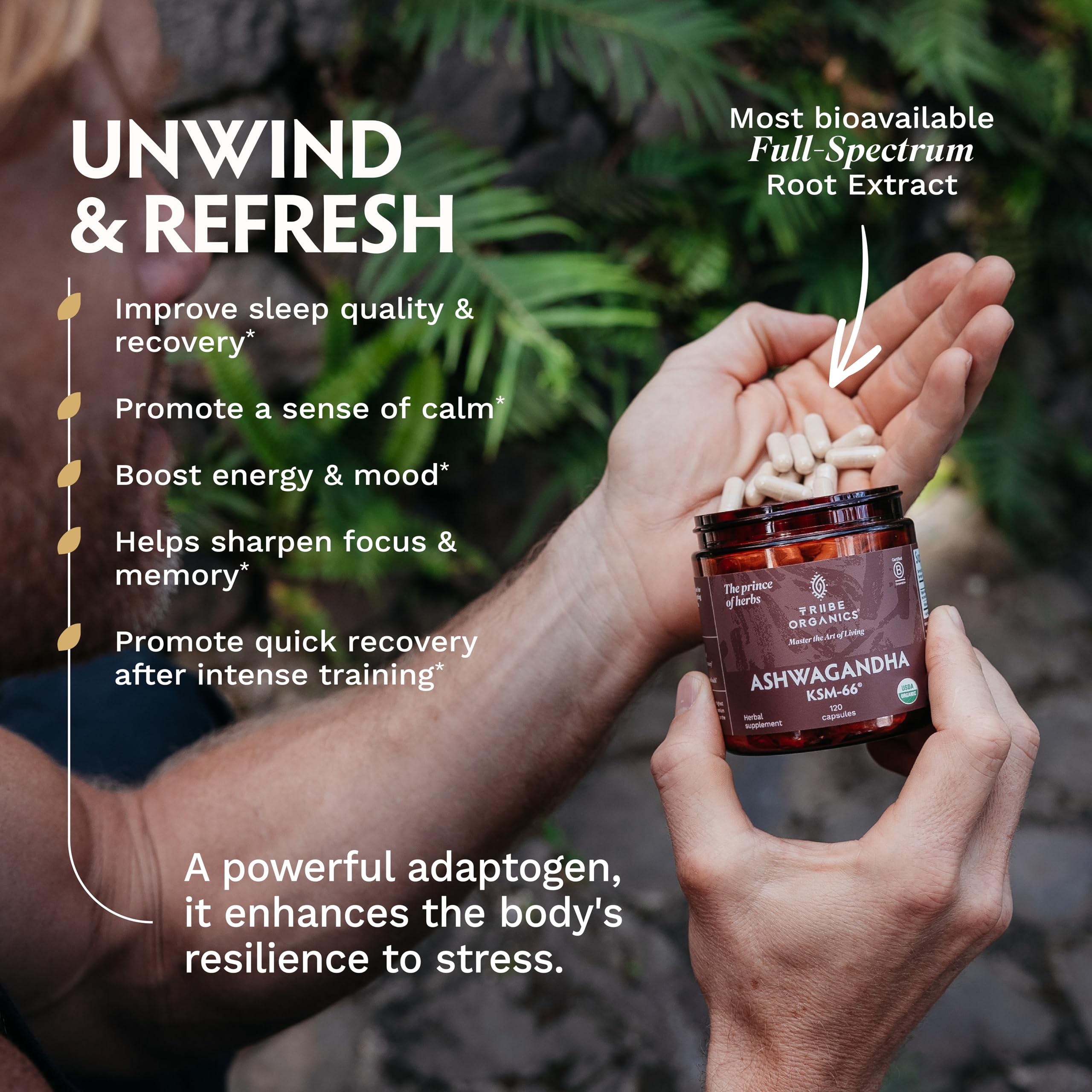 TRIBE ORGANICS cápsulas en mano que muestran tamaño y escala real