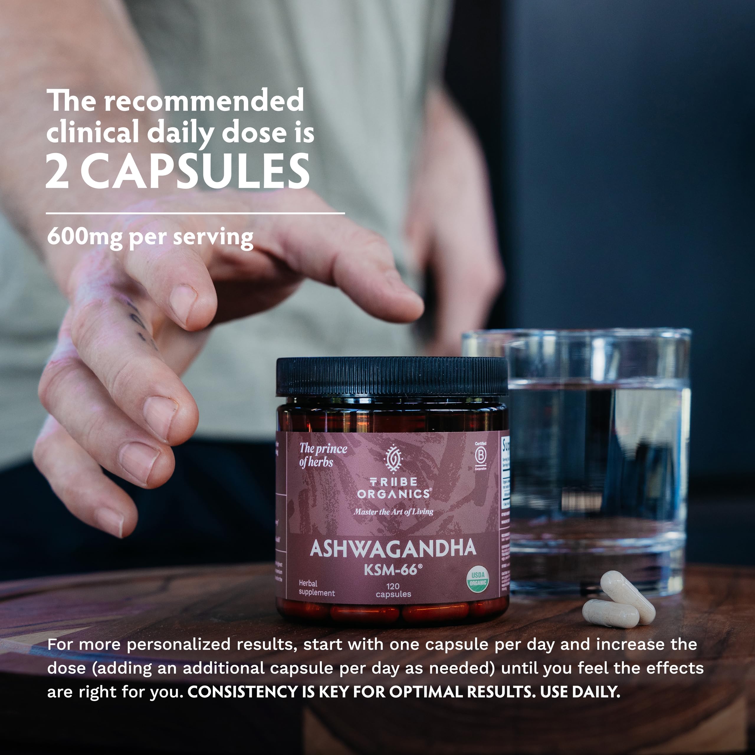 TRIBE ORGANICS etiqueta con ingredientes y sello orgánico visible
