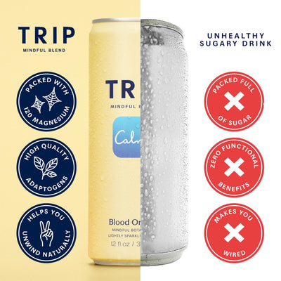 Flatlay of TRIP adaptogen ingredients like lion's mane and citrus, showing natural botanicals