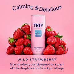TRIP wild strawberry ingredient display featuring botanicals and adaptogens