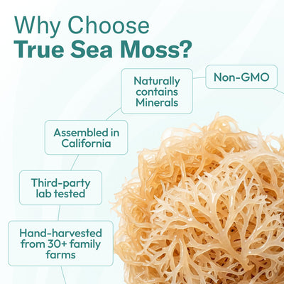 TrueSeaMoss harvested sea moss and soursop fruit representing sourced ingredients