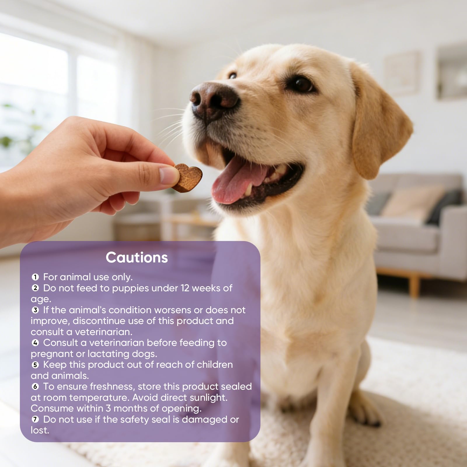 TTLXRL perro calmado en clínica veterinaria tras uso, reduce estrés