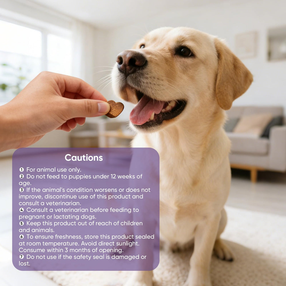 TTLXRL perro calmado en clínica veterinaria tras uso, reduce estrés