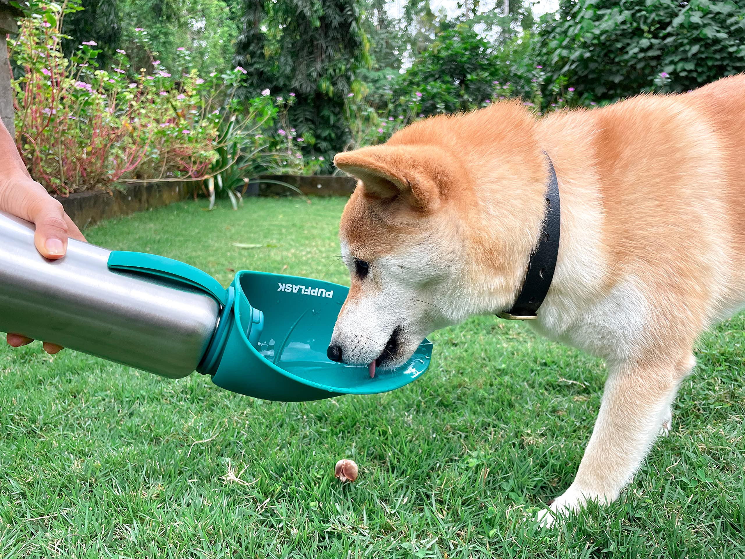 Tuff Pupper bottle with dog drinking illustrating effortless hydration
