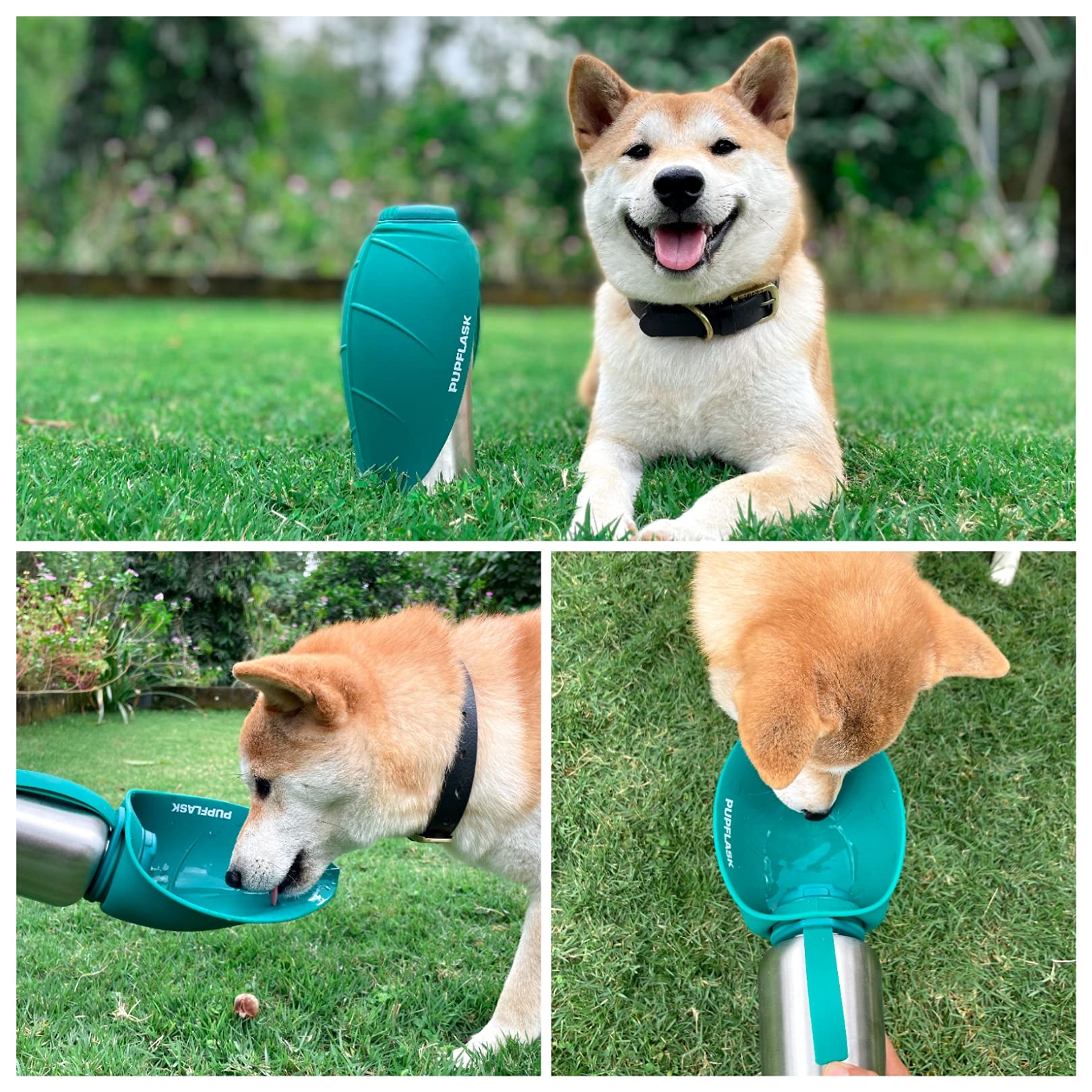 Tuff Pupper collapsed cup beside a ruler showing compact size
