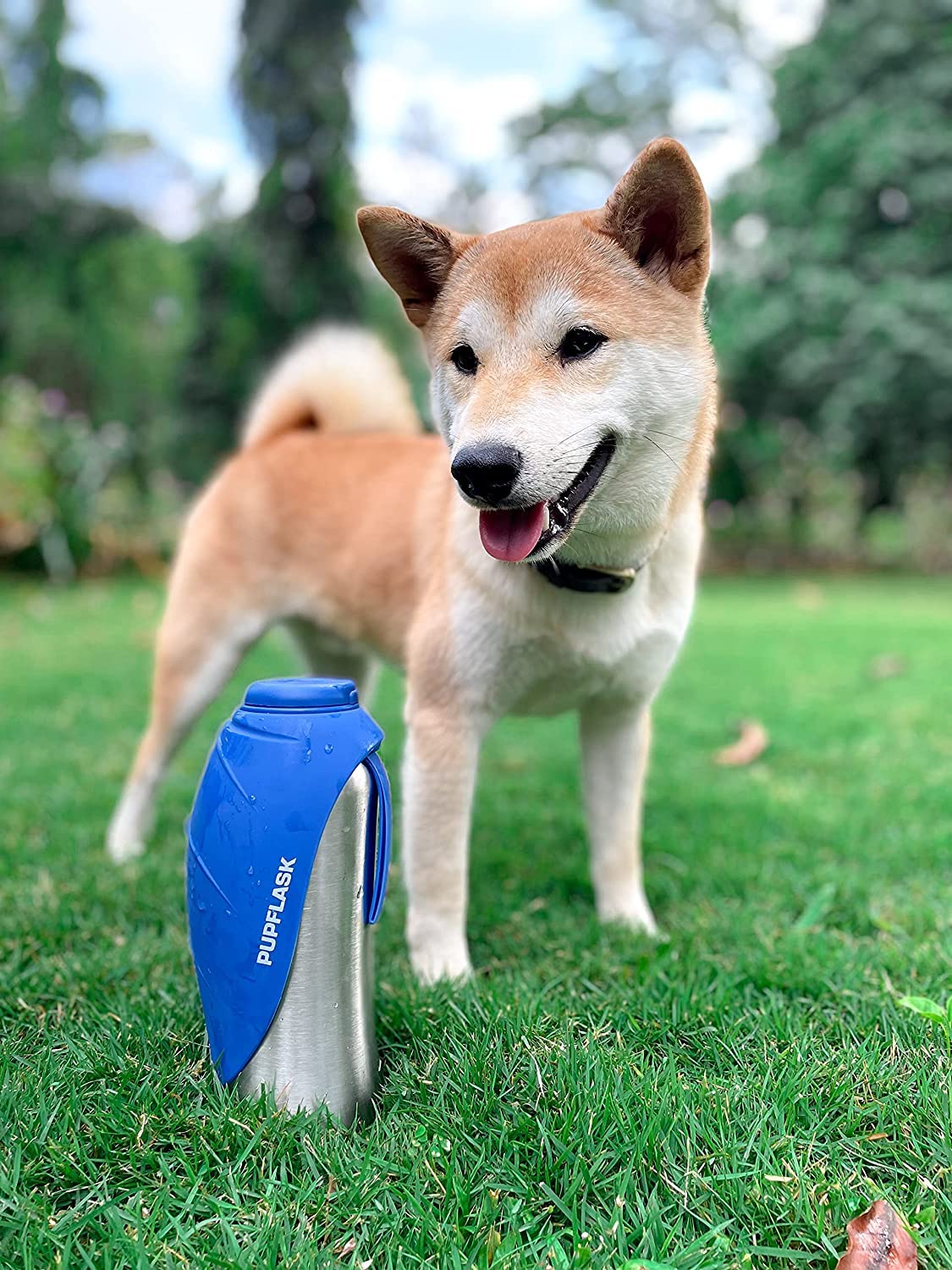 Tuff Pupper dentro de una mochila listo para viaje portabilidad y conveniencia