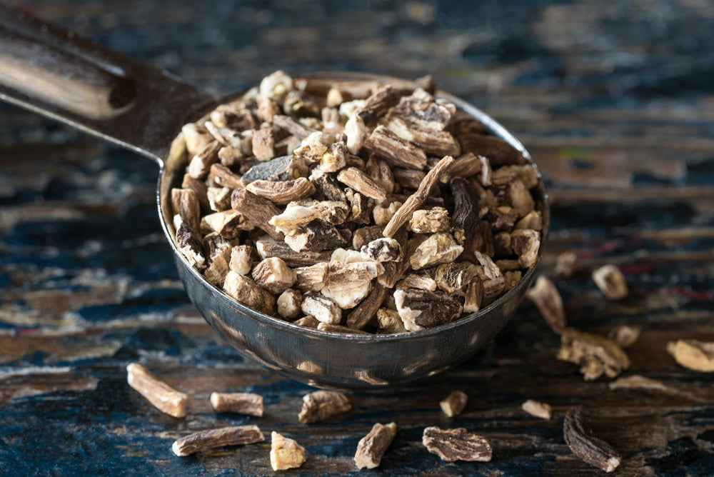 U.S. Wellness Naturals taza con infusión de raíz de diente de león, sabor terroso