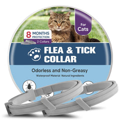 UDyoude collar frente del envase mostrando protección 8 meses