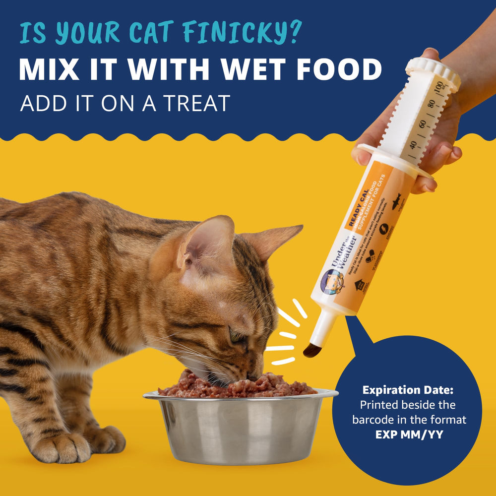 Under The Weather textura del gel cercano, gel palatable y nutritivo