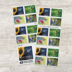 United States Postal Service libreta frontal mostrando diseño y conveniencia