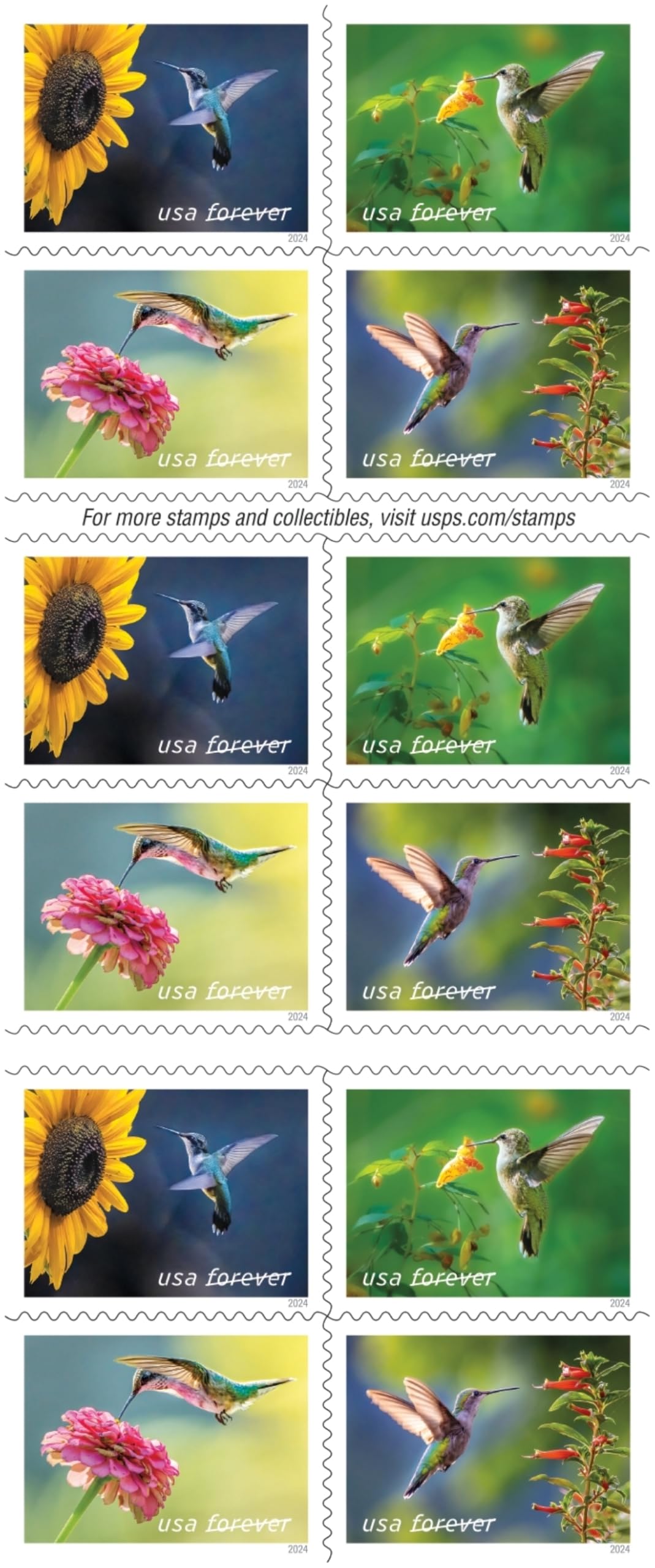 United States Postal Service sello spotted touch-me-not destacando patrón floral
