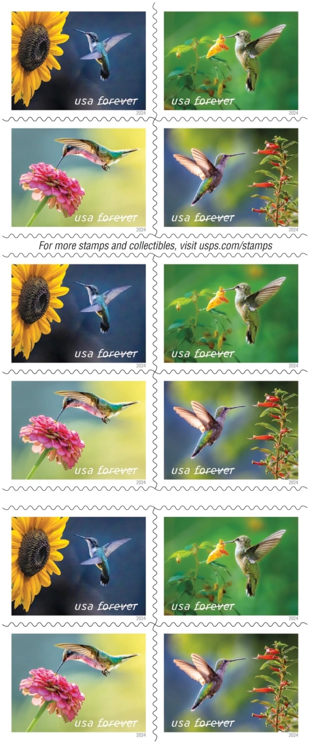United States Postal Service sello spotted touch-me-not destacando patrón floral