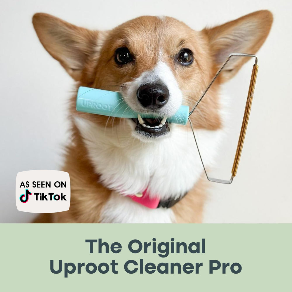 Uproot Clean recogida de pelos lista para desechar sin adherentes