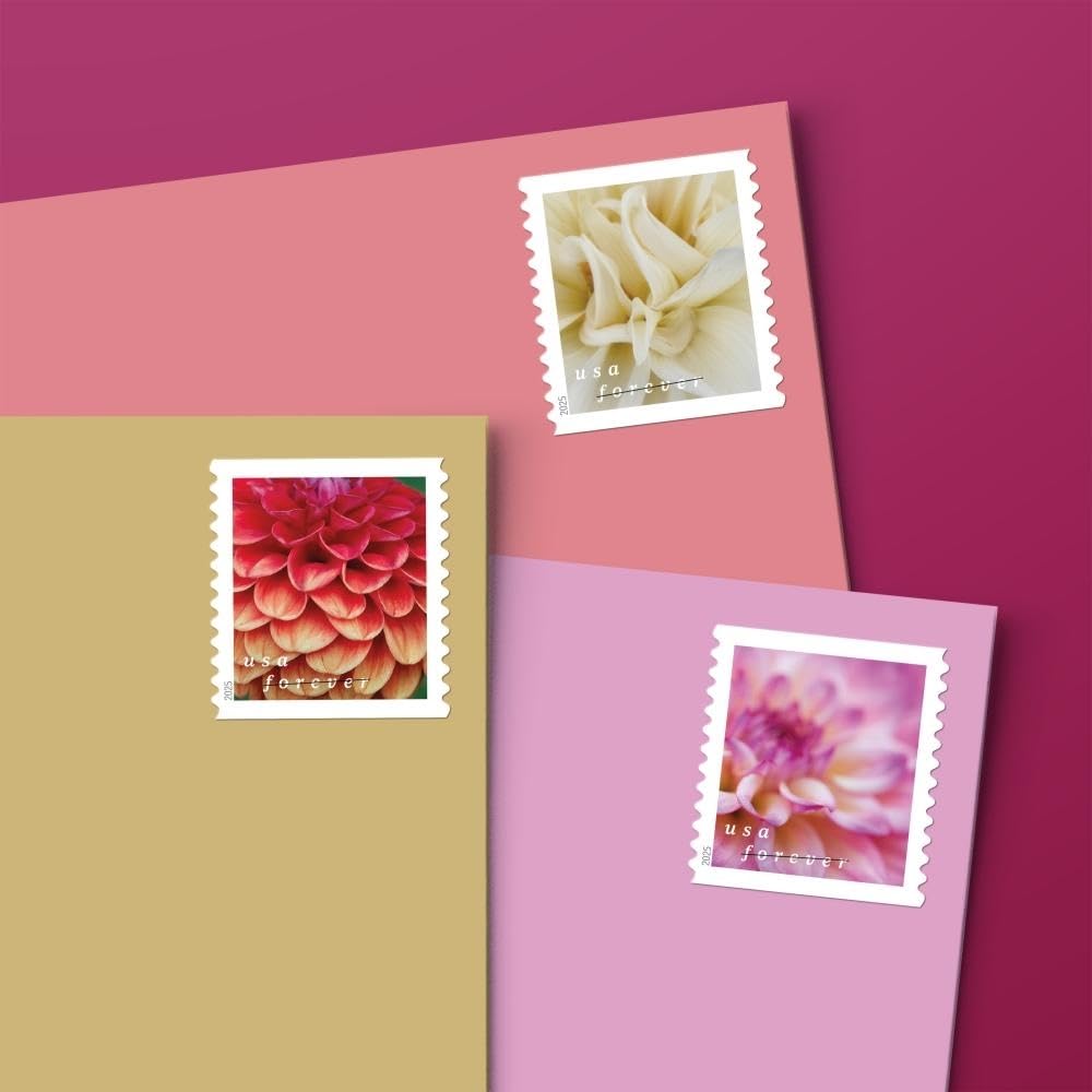 United States Postal Service detalle de pétalos rosa, color y textura realzados