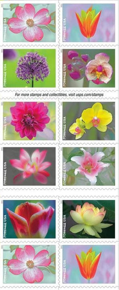 United States Postal Service cuadernillo abierto mostrando sellos florales, embellece correo