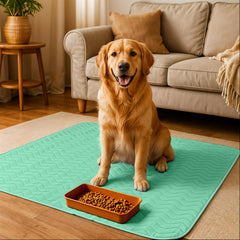 Utopia Bedding almohadilla en uso con perro para entrenamiento limpio y cómodo