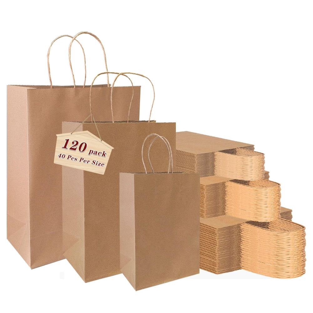 vanhel pack frontal de 120 bolsas kraft, presentación profesional