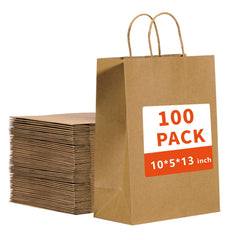 vanhel frente del paquete de 100 bolsas kraft, presentación profesional