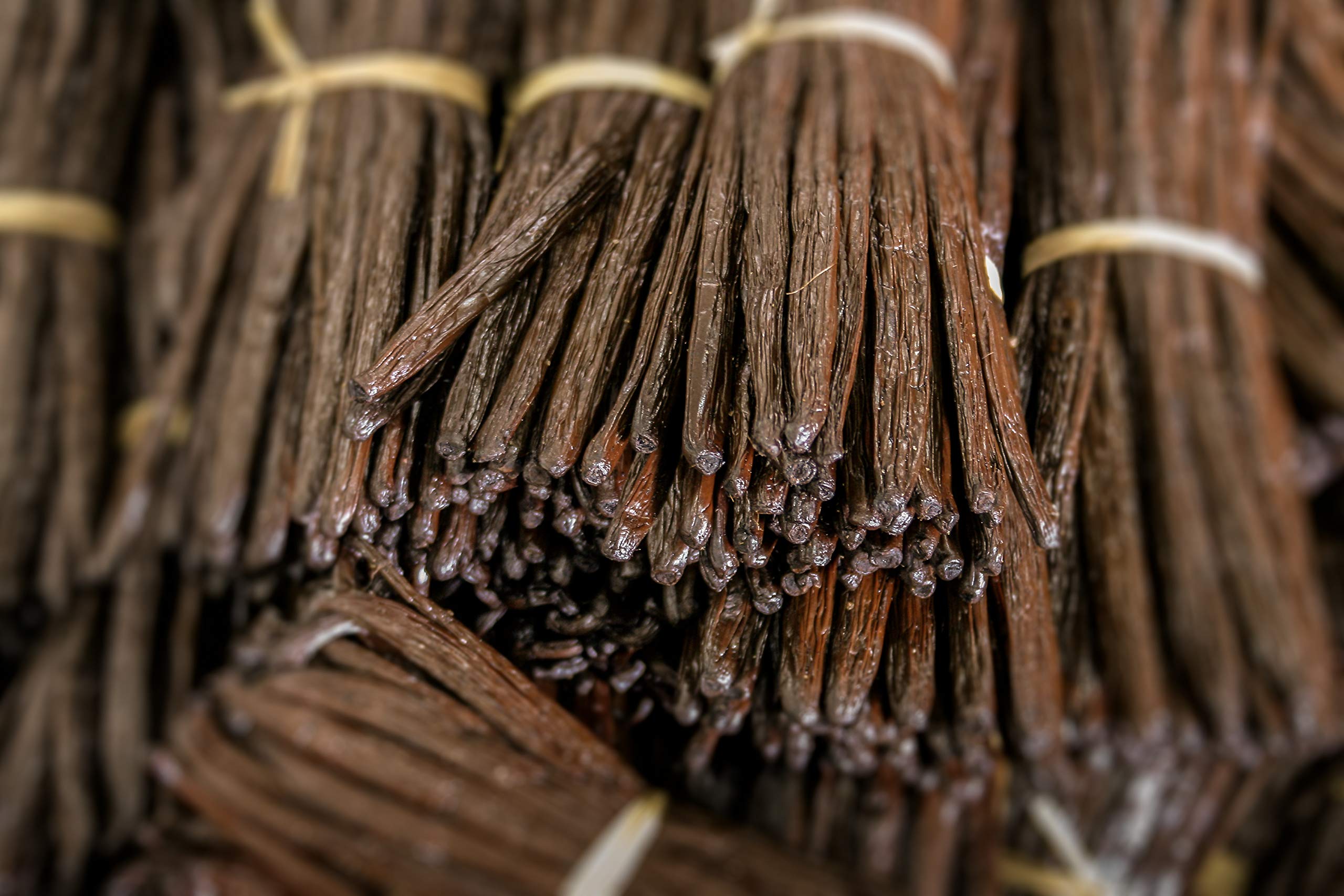 Vanilla Bean Kings paquete sellado al vacío que preserva frescura