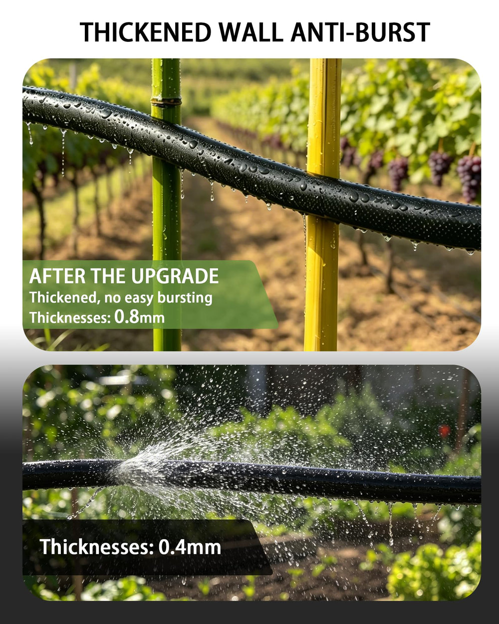Vantigreen length scale comparison with ruler showing 50ft scale and coverage benefit