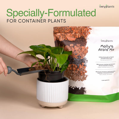 veryplants mezcla en maceta durante trasplante, uso fácil y limpio