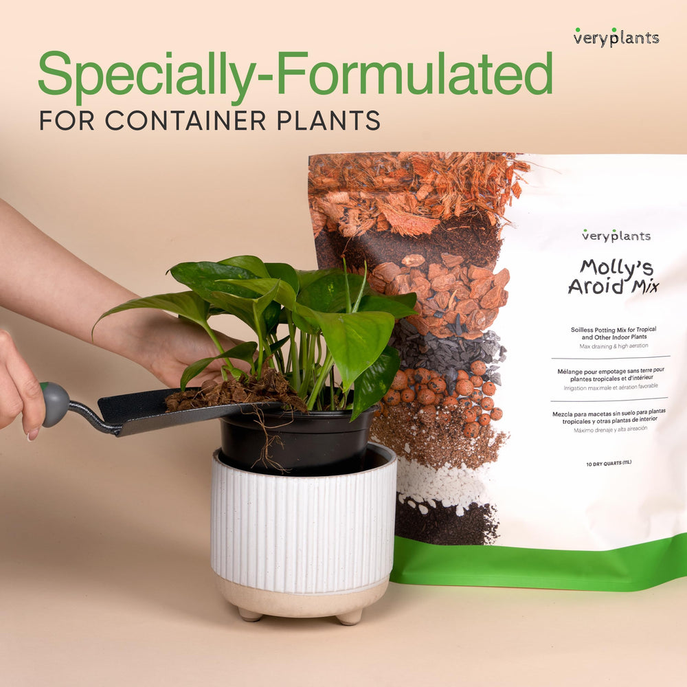 veryplants mezcla en maceta durante trasplante, uso fácil y limpio
