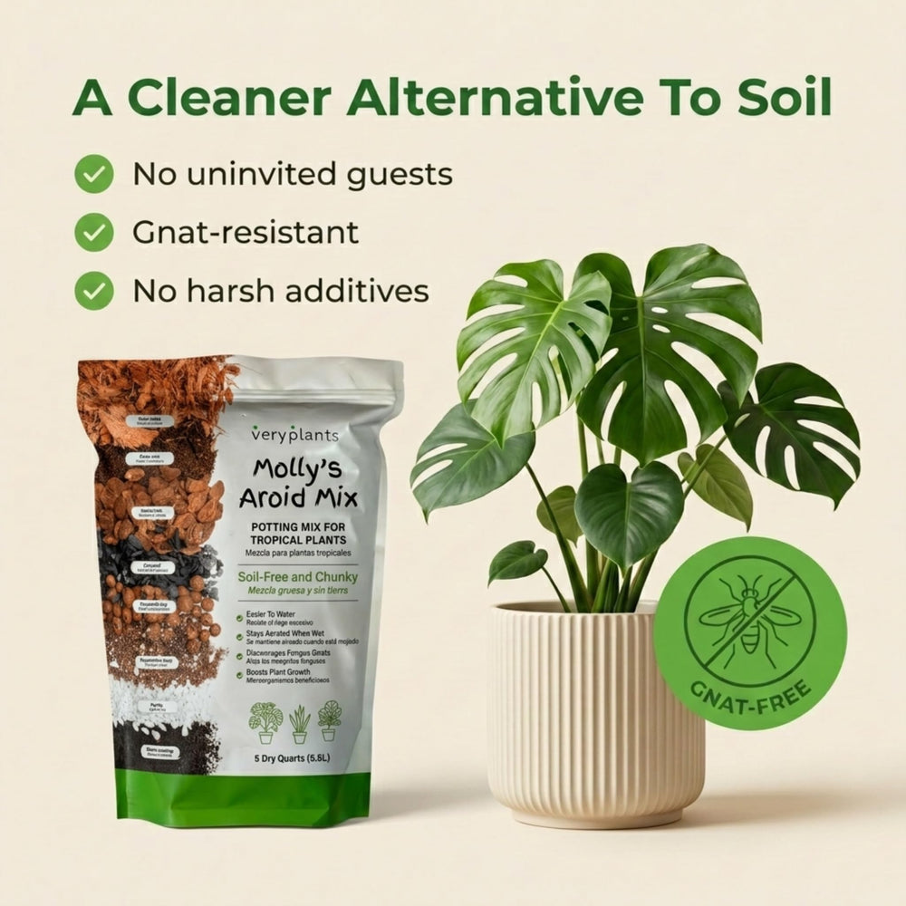 veryplants sustrato libre de mosquitos mostrando superficie limpia