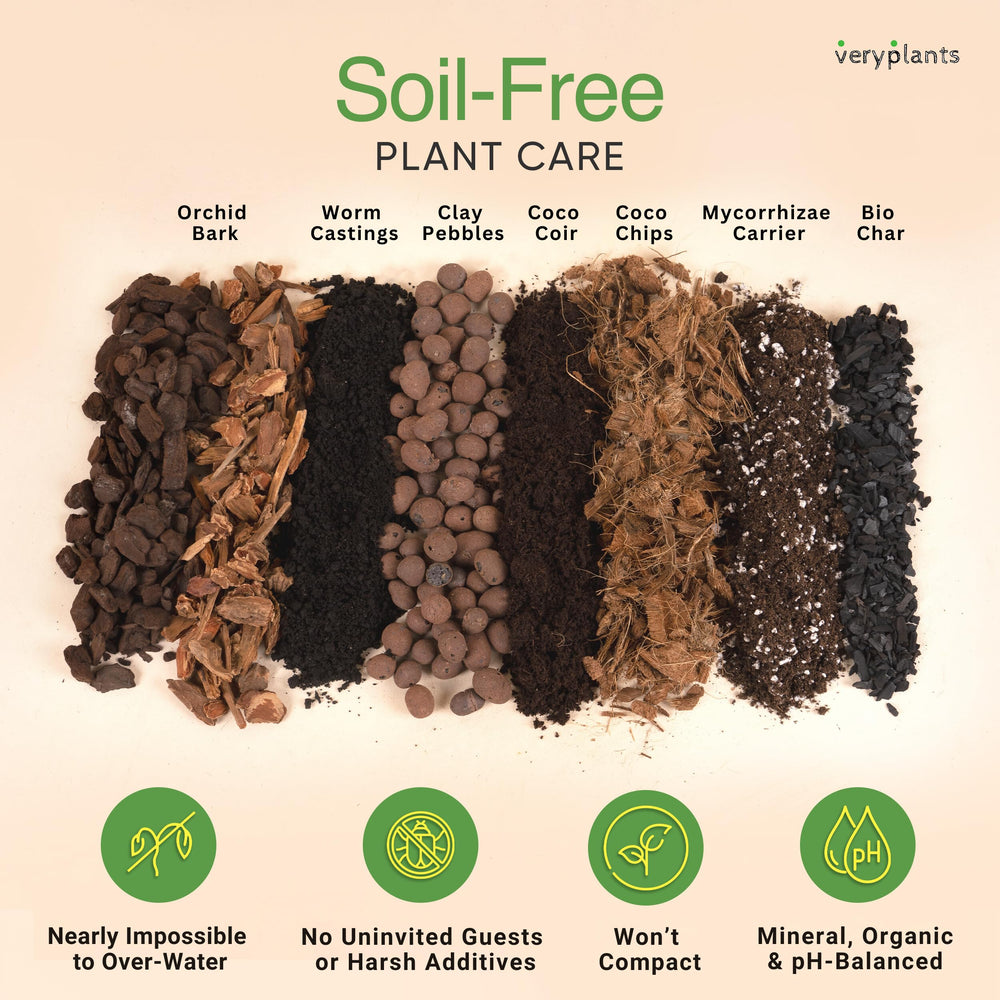veryplants primer plano de textura chunky del sustrato, buen drenaje