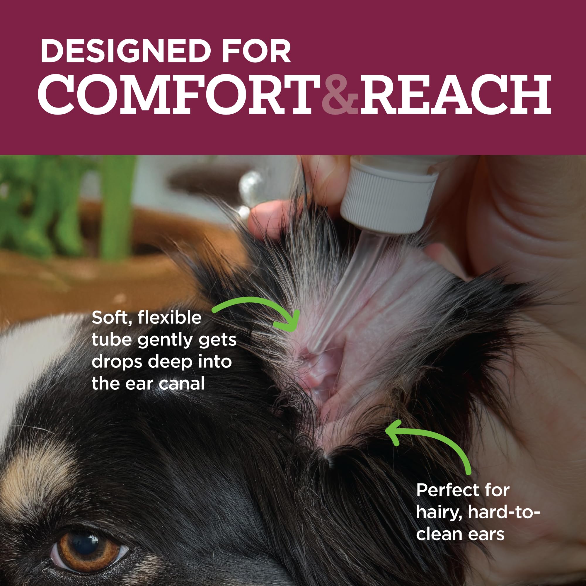 Relaxed dog resting after Vetality treatment, comfort and reduced irritation