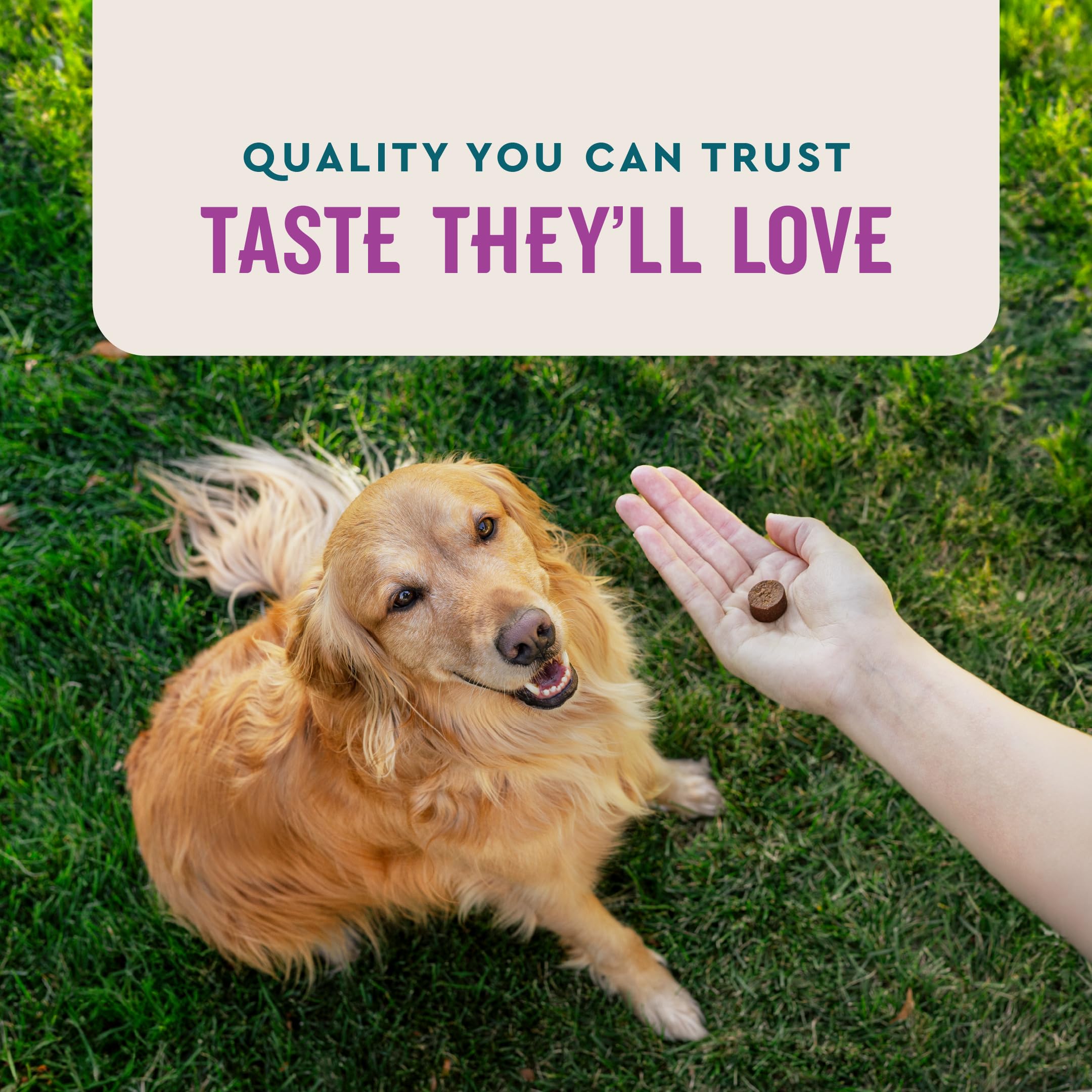 VetIQ etiqueta con ingredientes visibles y soporte recomendado por veterinarios