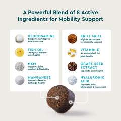 VETIQ ingredient label close-up highlighting glucosamine and MSM