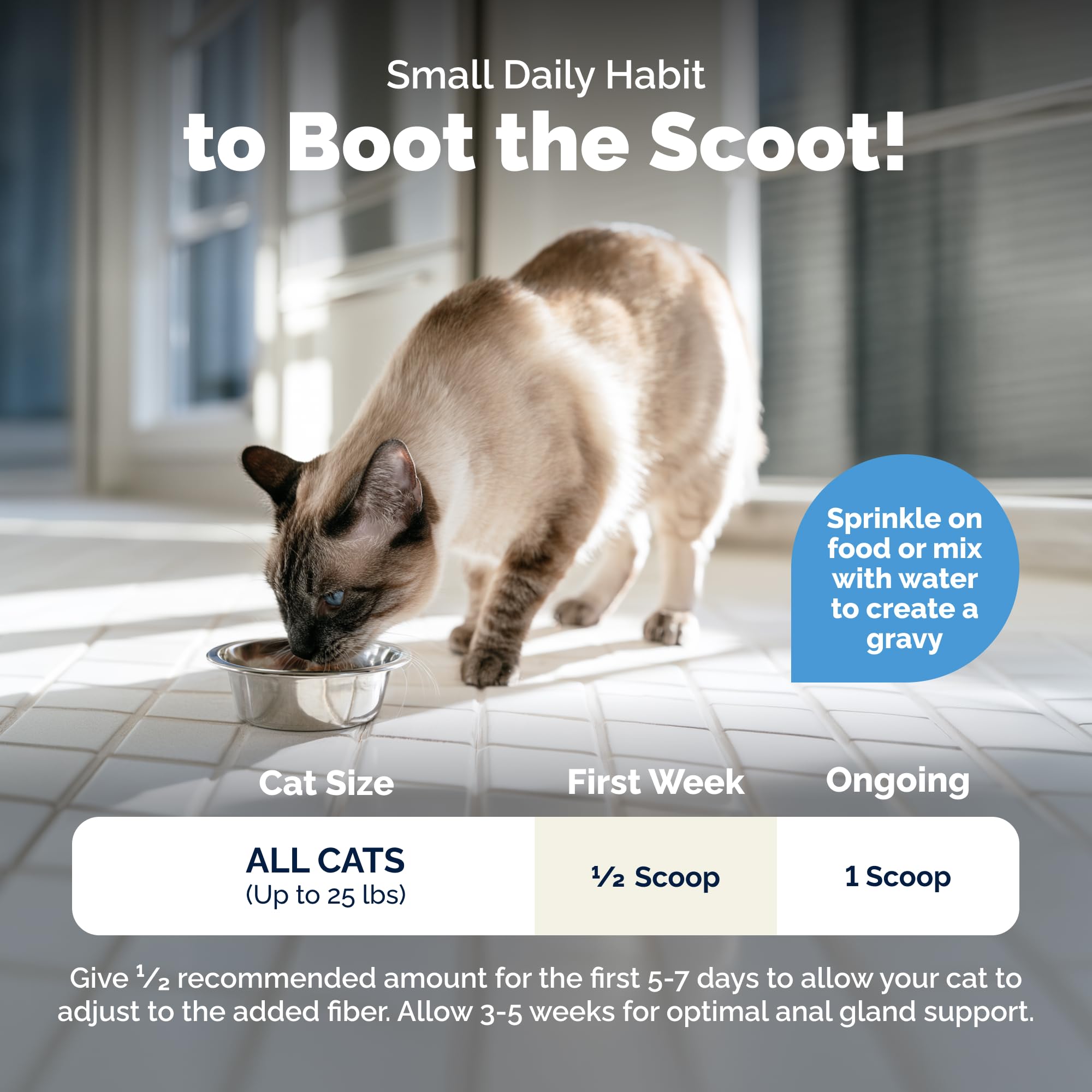 Vetnique Glandex gato consumiendo mezcla para reducir scooting y molestias