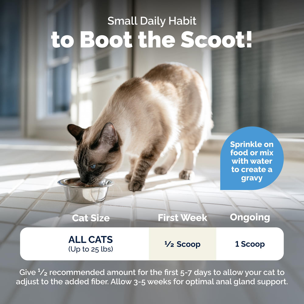 Vetnique Glandex gato consumiendo mezcla para reducir scooting y molestias
