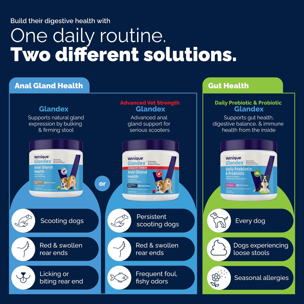Vetnique Glandex perro aceptando la golosina para apoyo digestivo y heces firmes