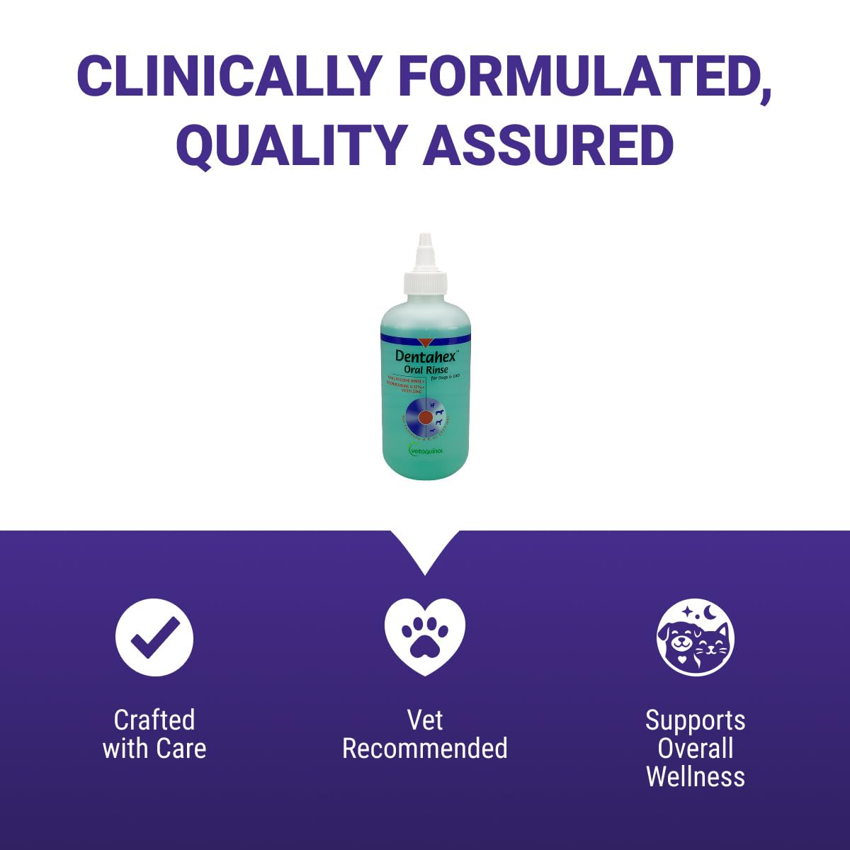 Applying Vetoquinol Dentahex to a cat's mouth illustrating gentle application and plaque support