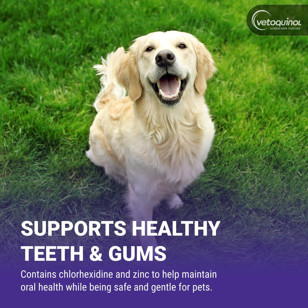 Applying Vetoquinol Dentahex to a dog's mouth showing simple use and fresher breath benefit