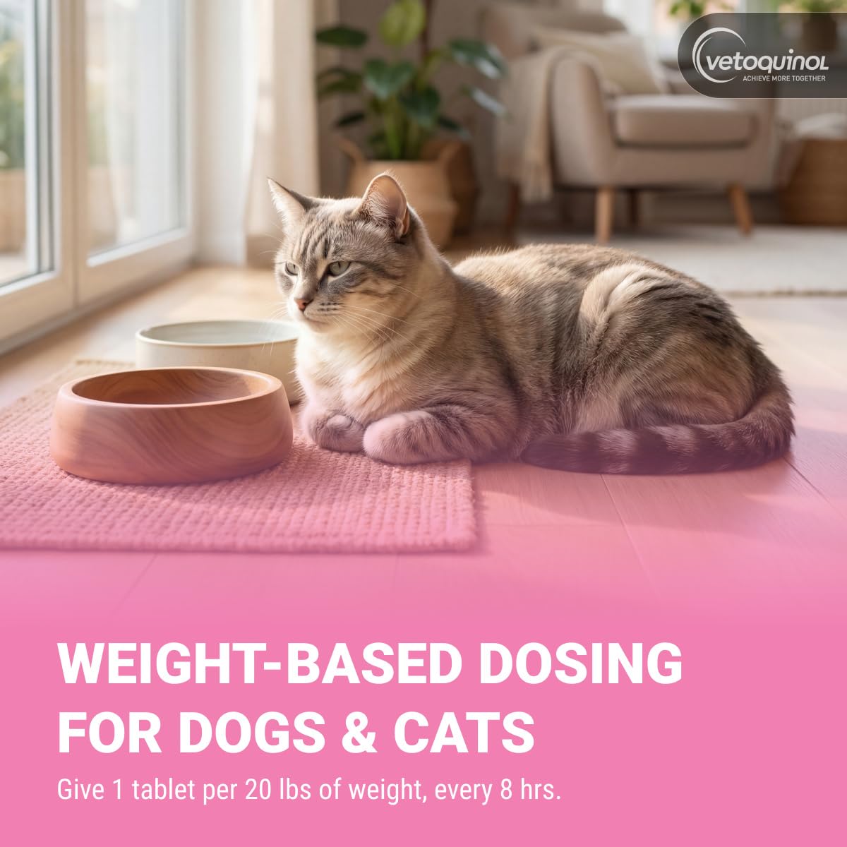 Perro aceptando Vetoquinol Pro-Pectalin tableta, solución conveniente