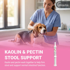 Vetoquinol Pro-Pectalin textura en gel close-up que facilita la aceptación